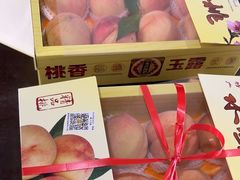 -南汇水蜜桃采摘(大团店)