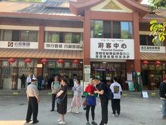 -西双版纳原始森林公园
