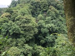 -青城山