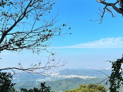 -梧桐山风景名胜区