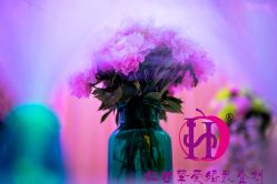 -花园饭店·宴会厅