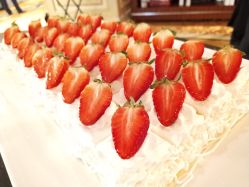 -上海虹桥锦江大酒店·宴会厅