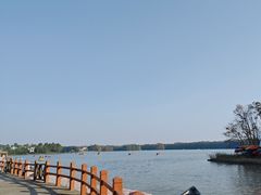 -上海海湾国家森林公园