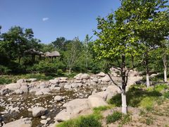 -莲花池公园