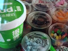 -Salud撒露欧洲冻酸奶(蓝色港湾店)