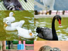 -南戴河国际娱乐中心