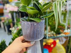 -何兮花店·气球派对鲜花店(马桥银春路万科城店)