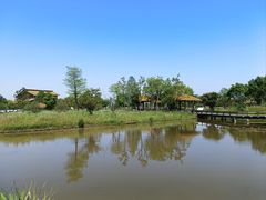 -宁波杭州湾国家湿地公园