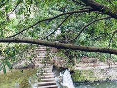 -重庆彩云湖湿地公园