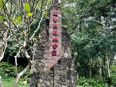 -王借岗森林公园