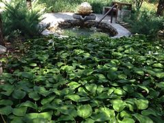 -南宫温泉水世界