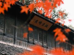 -杭州植物园