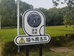 -南京奥林匹克体育中心