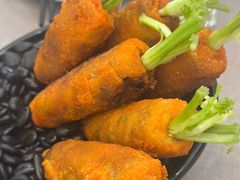 -丁老爷子苏香圆