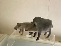 -旅顺博物馆