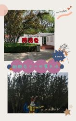 -酷酷兔少儿拓展天地