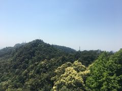 -缙云山景区