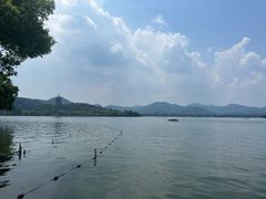 -杭州西湖柳莺里酒店·闻莺厅