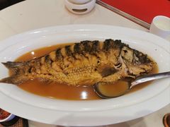 -阿庄新豫菜(航海东路店)