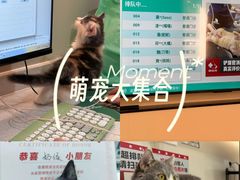 -御宝贝24h宠物医院·转诊中心·CT核磁血透中心(厦门总院)