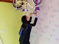 -金山农民画村-枫泾波兰倒置屋