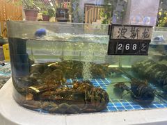 -大众海鲜(巨龙北路店)