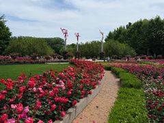 -大望京公园