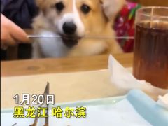 -状元阁烧烤(群力店)
