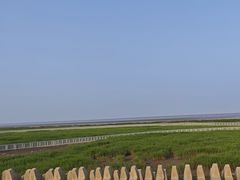 -南汇嘴观海公园