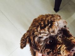 -大地影院(上海南汇店)