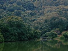 -南国桃园旅游度假区