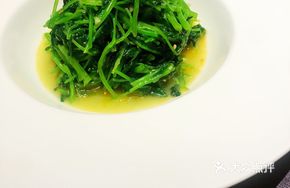 Gingered Mustard Greens Sprouts