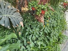 -郑州植物园