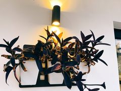 -素心小筑(后沙裕镇店)