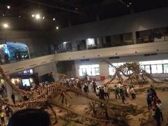 -自贡恐龙博物馆