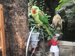 -丽江庭院之丽江往事(安定门店)