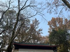 -岳麓山风景名胜区