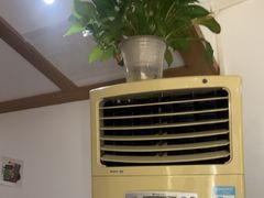 -锦初•影院式足道•新中式SPA(茂业天地店)