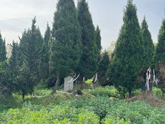 -潘广路(地铁站)