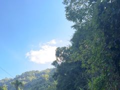 -海南霸王岭国家森林公园