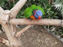 -南宫五洲植物乐园