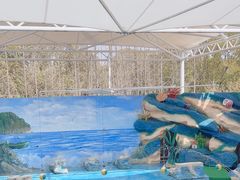 -上海野生动物园