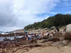 -广东惠东海龟国家级自然保护区
