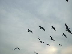 -海驴岛(荣成市)