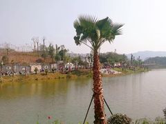 -枫香湖儿童公园