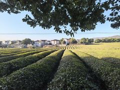 -敬亭山风景名胜区