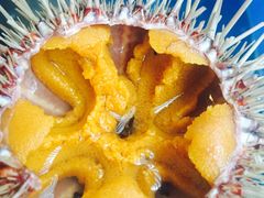 海胆-福匠日本料理(人民路店)