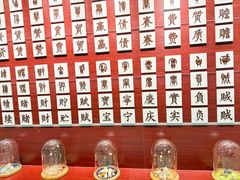 -青岛贝壳博物馆