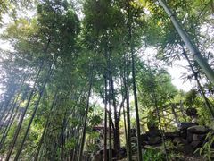 -成都杜甫草堂博物馆