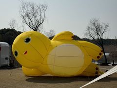 -同里国家湿地公园